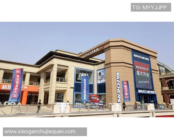 帕尼尼顶级球星卡价格分析与市场走势探讨 帕尼尼顶级球星卡价格分析与市场走势探讨